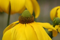 /album/galerie-photos/a2006-08-118-jpg/